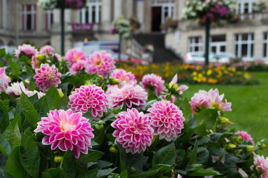 Moderne tuin met harmonieus samengestelde bestrating, groene beplanting en veranda als centraal punt in Amersfoort